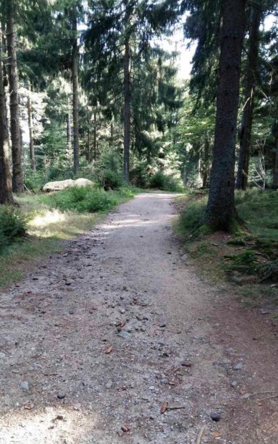 Bergerlebnis Natur Pur Sankt Englmar Buitenkant foto